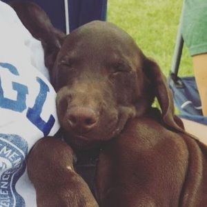 Meet your Posher, Alicia